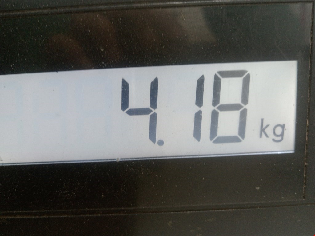 Обшивка двери задняя левая TESLA Model S I 2012-н.в.