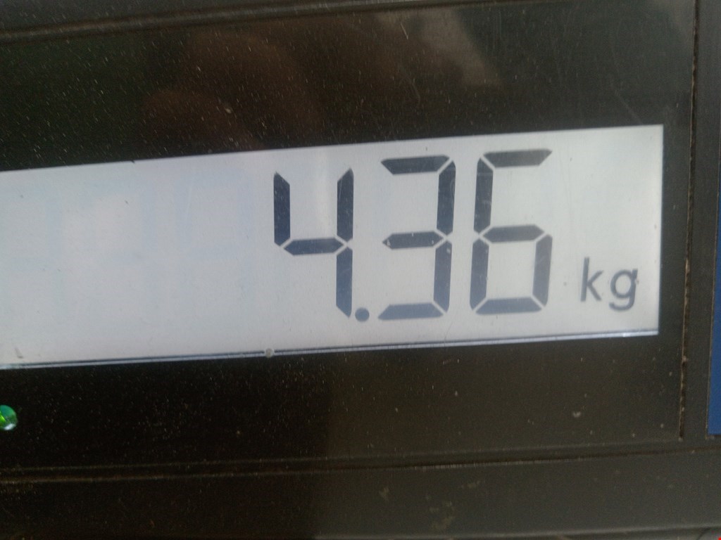 Обшивка двери задняя правая TESLA Model S I 2012-н.в.