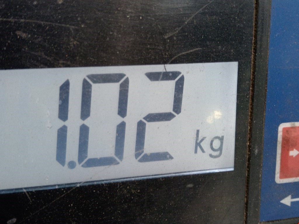 Решетка радиатора TESLA Model S I 2012-н.в.