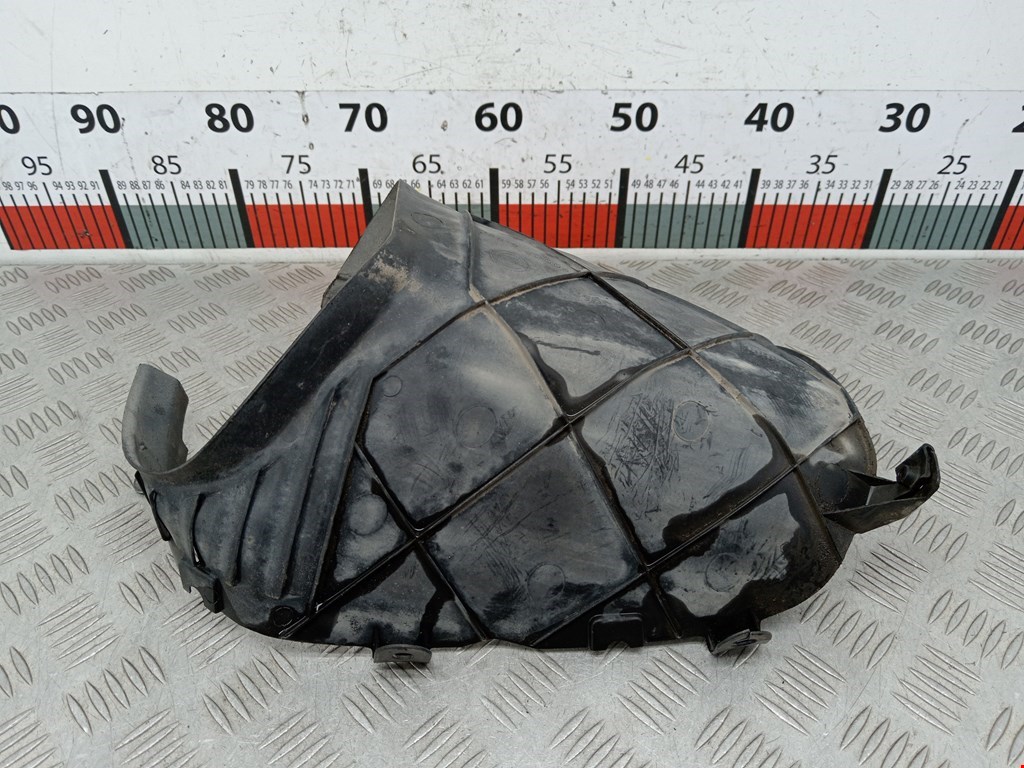 Локер (подкрылок) задний левый NISSAN Qashqai J10 2006-2013