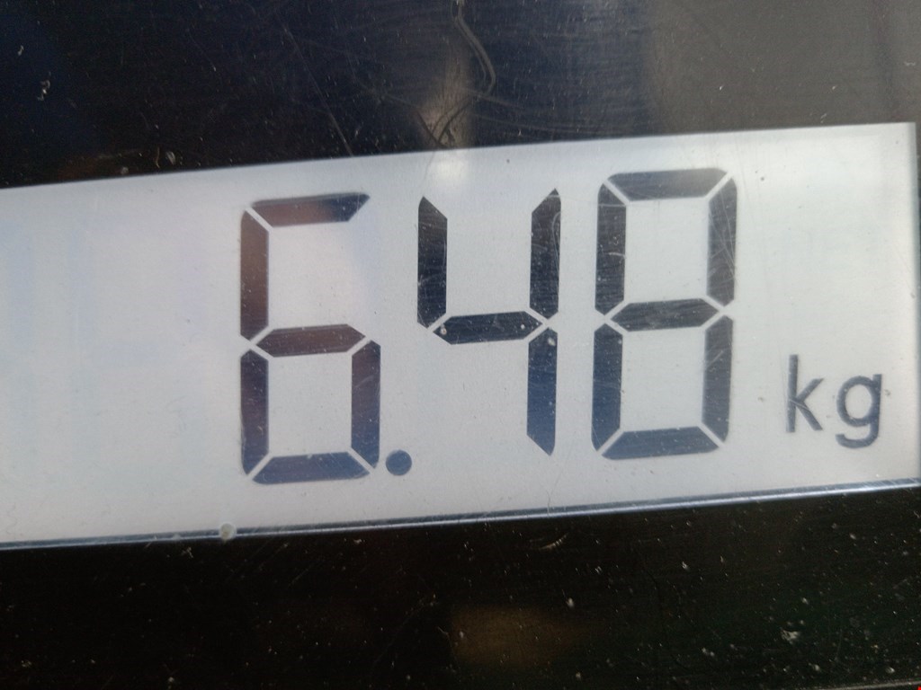 Амортизатор задний левый TESLA Model S I 2012-н.в.