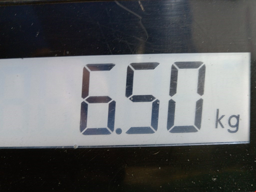 Амортизатор задний правый TESLA Model S I 2012-н.в.