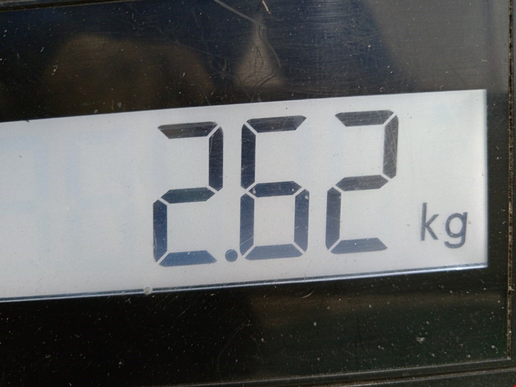 Суппорт задний левый TESLA Model S I 2012-н.в.