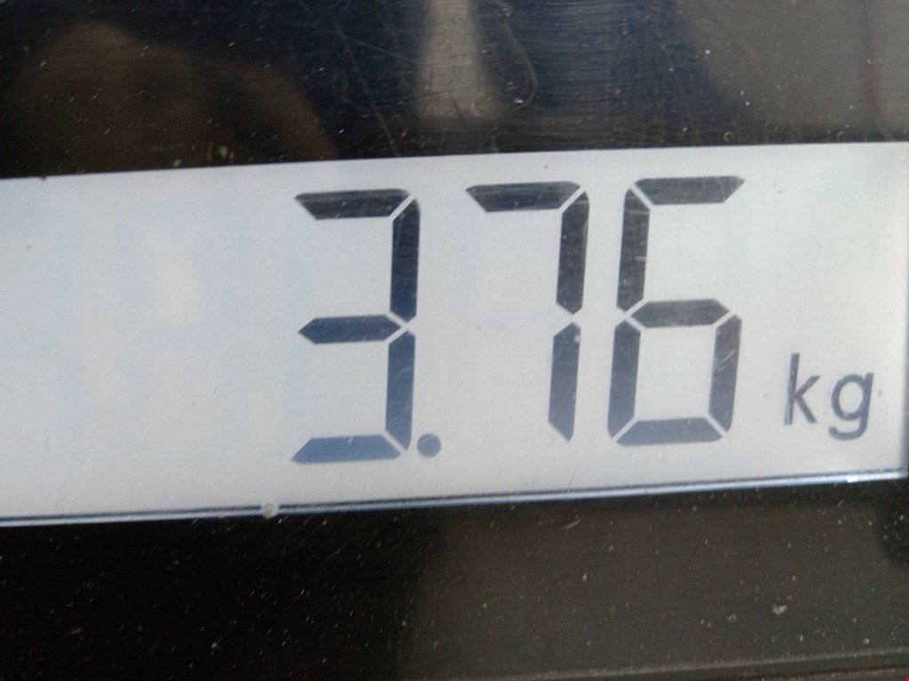 Рычаг задний правый TESLA Model S I 2012-н.в.