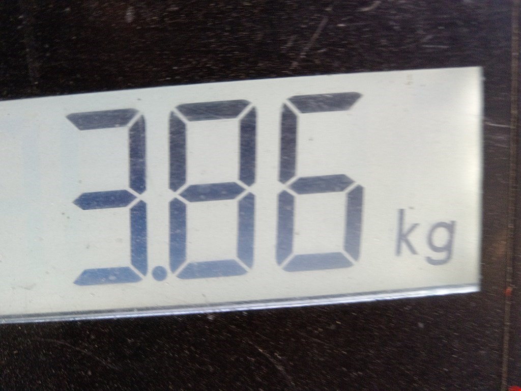 Бампер задний HYUNDAI Elantra V MD 2010-2016