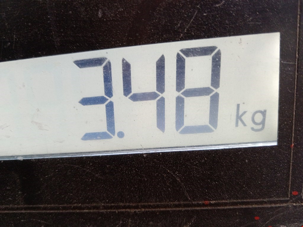 Юбка (губа) бампера задняя (заднего) SKODA Kodiaq 2016-н.в.