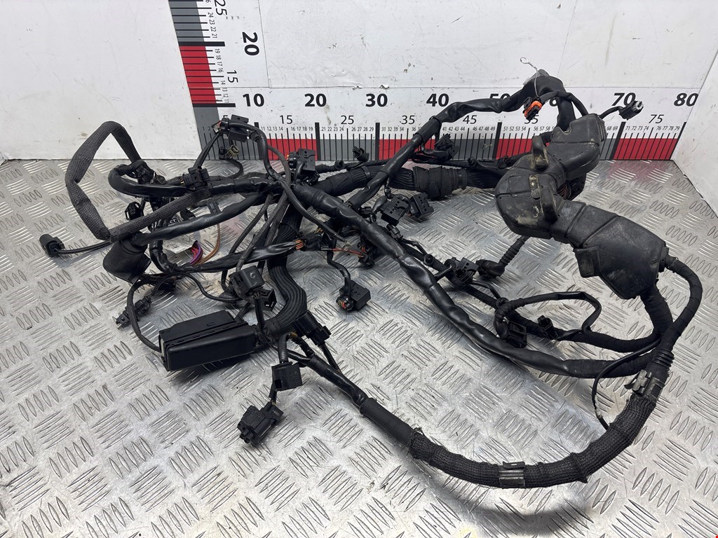 Проводка коса MERCEDES-BENZ CL-Class C216 2007-2014