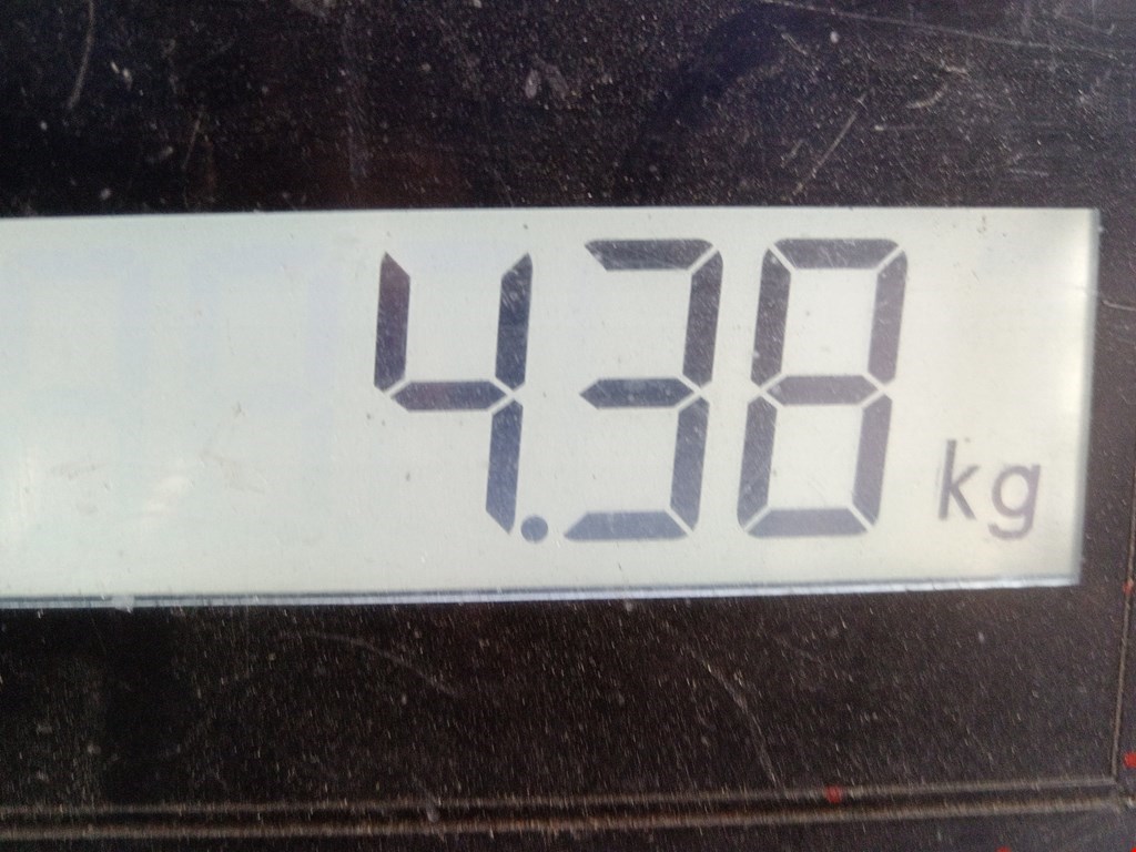 Бампер задний LAND ROVER Range Rover 2012-2022