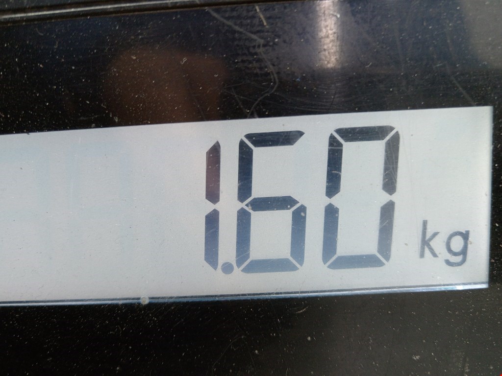 Амортизатор задний левый RENAULT Sandero 2009-2014