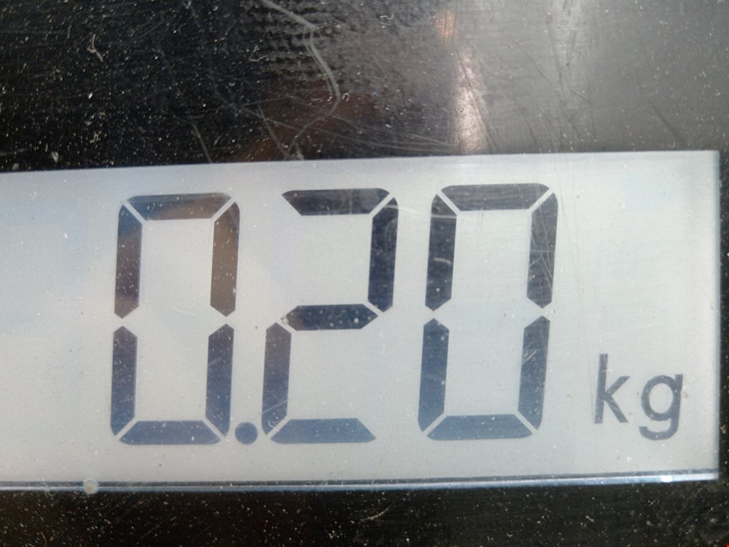 Гидроаккумулятор (груша) буль задний NISSAN Qashqai J10 2006-2013