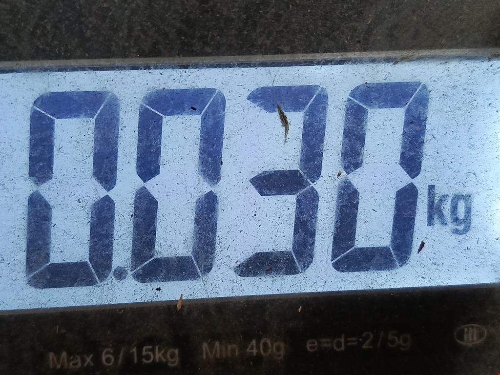 Реле стеклоочистителей CITROEN Xsara 1997-2000