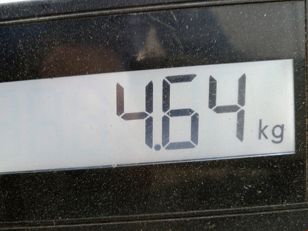 Ступица передняя левая/правая BMW 7er 7 серия E65/E66 2001-2008