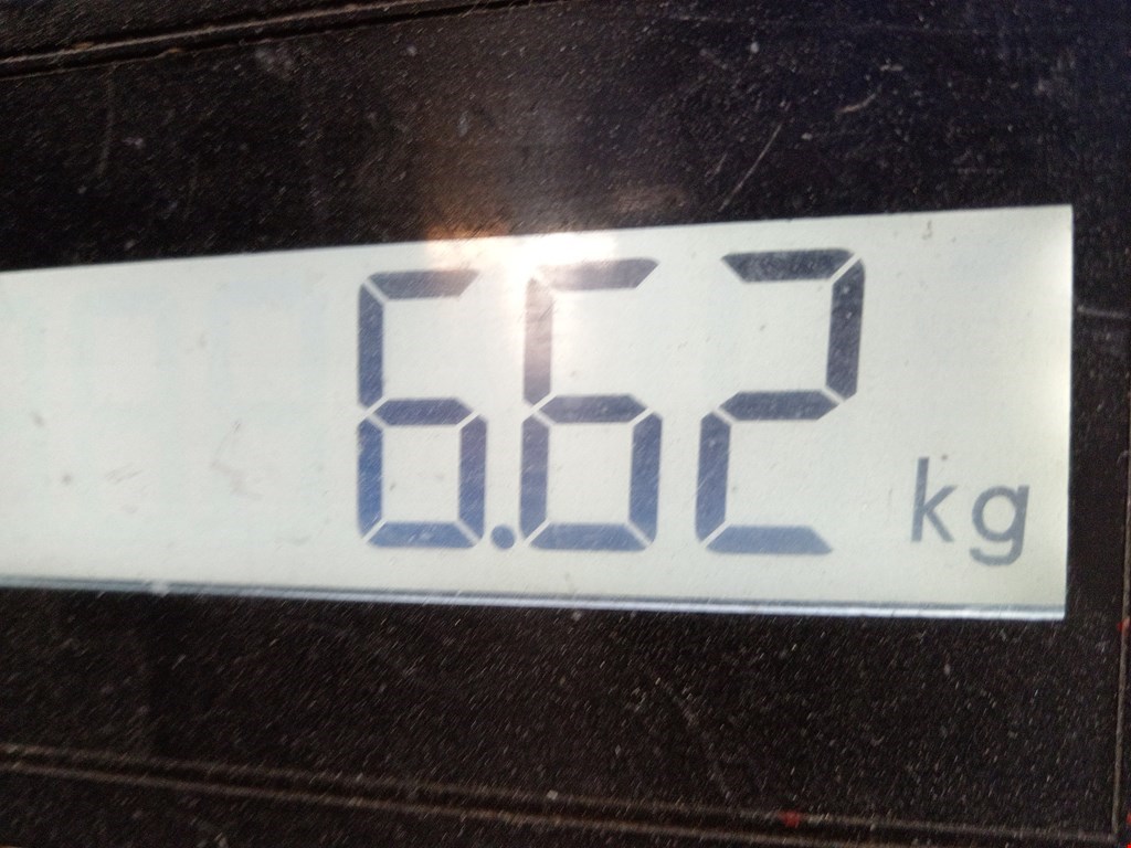 Стабилизатор передний (поперечной устойчивости подвески) PORSCHE Cayenne 955/957 2002-2010