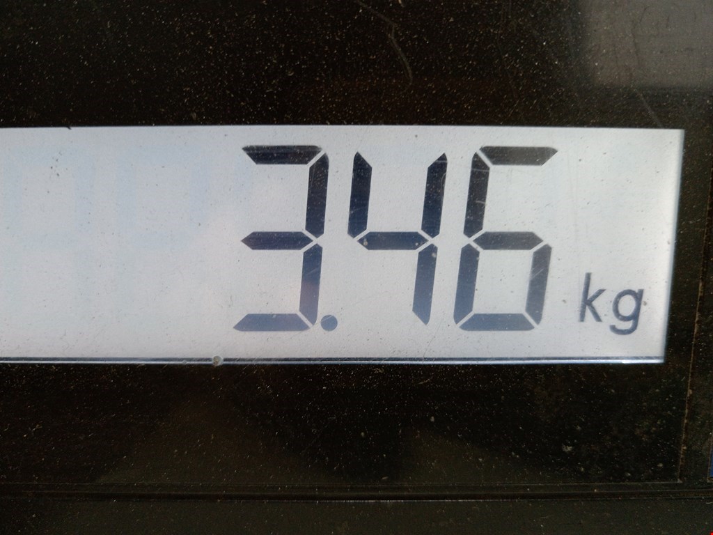 Стекло двери переднее правое RENAULT Kangoo 1997-2008