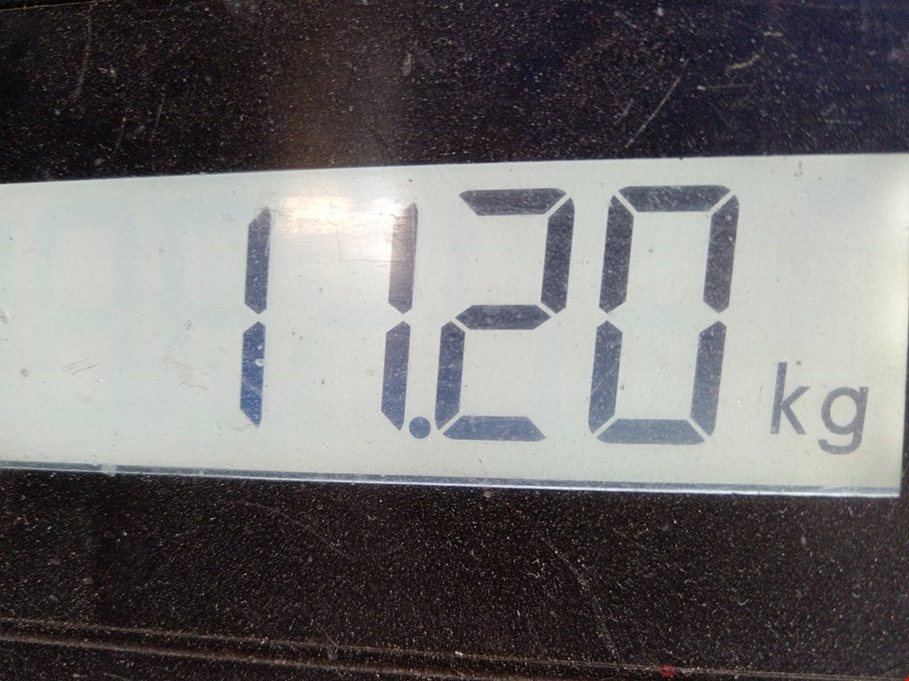 Амортизатор задний правый MERCEDES-BENZ S-Class IV W220 1998-2005