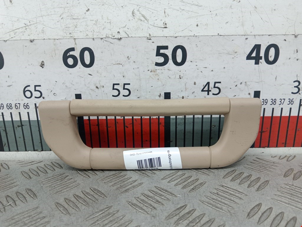 Ручка потолочная BMW X5 (E53) (1999-2006)