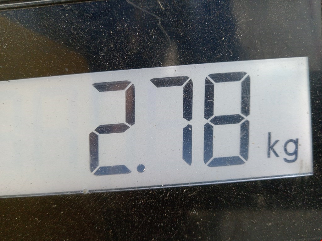 Шторка заднего стекла MERCEDES-BENZ CL-Class C215 1999-2006