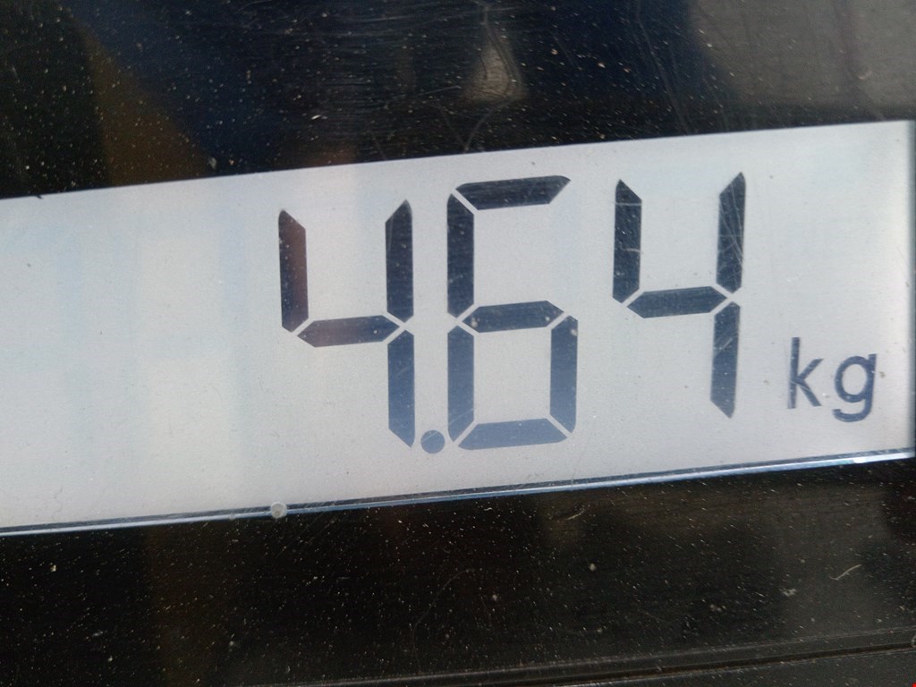 Амортизатор передний правый BMW X3 F25 2010-2017