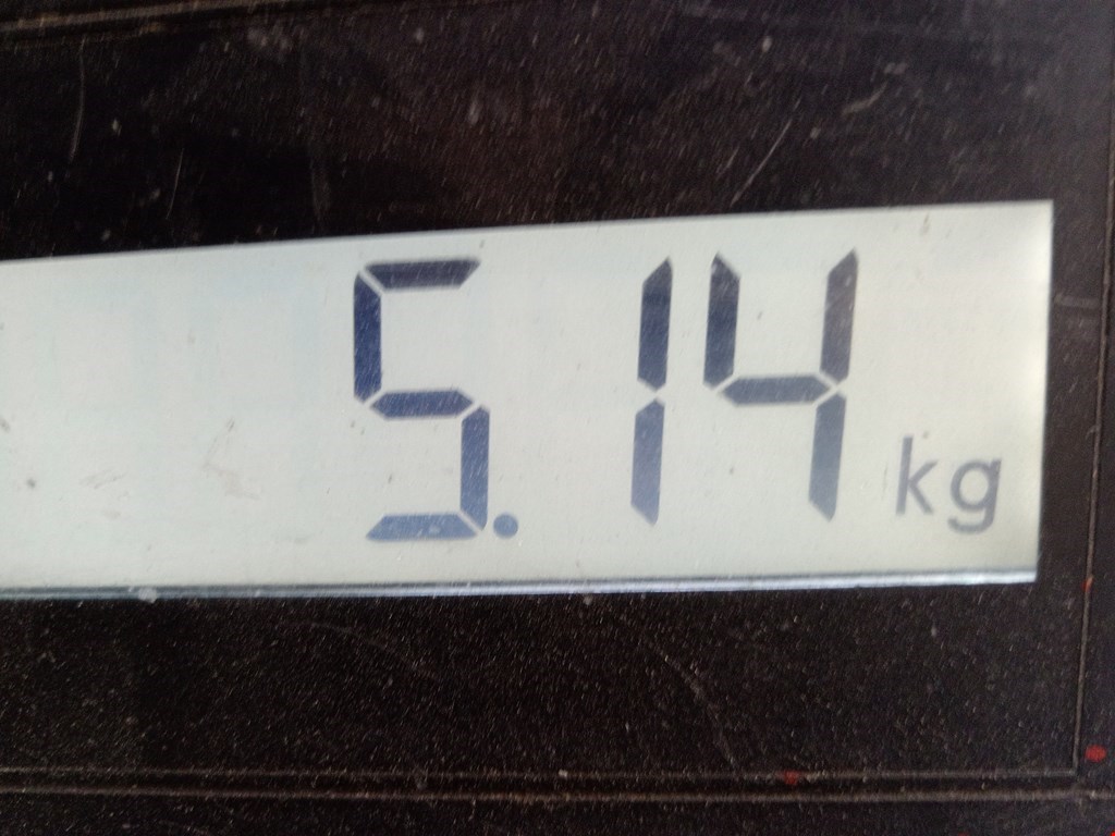 Бампер передний HAVAL H9 2014-2024