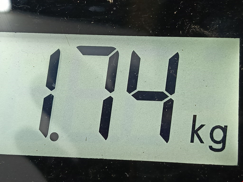 Амортизатор задний левый RENAULT Sandero 2009-2014