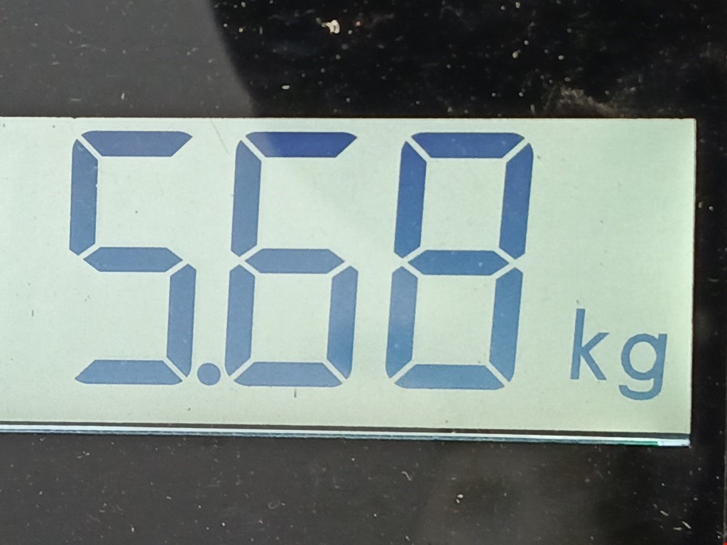 Рычаг задний правый AUDI A6 C6 2004-2010