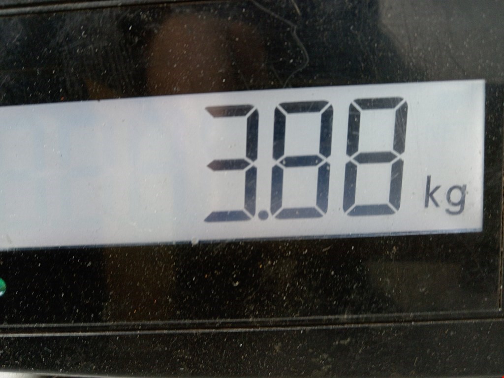 Обшивка двери задняя левая BMW 2er Grand Tourer F46 2015-2022