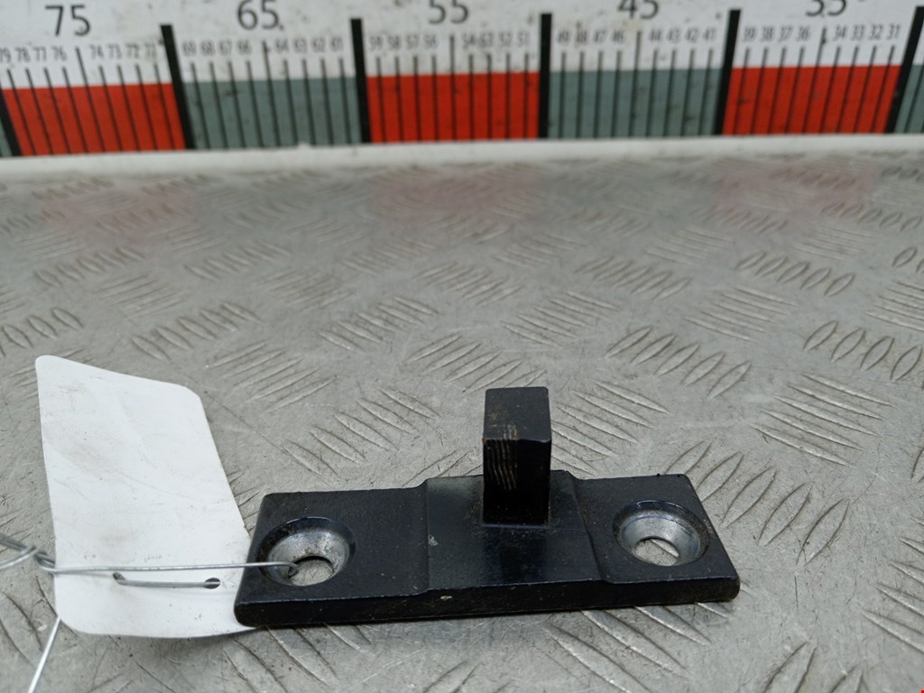 Петля двери задней правой BMW X5 (E70) (2006-2013)