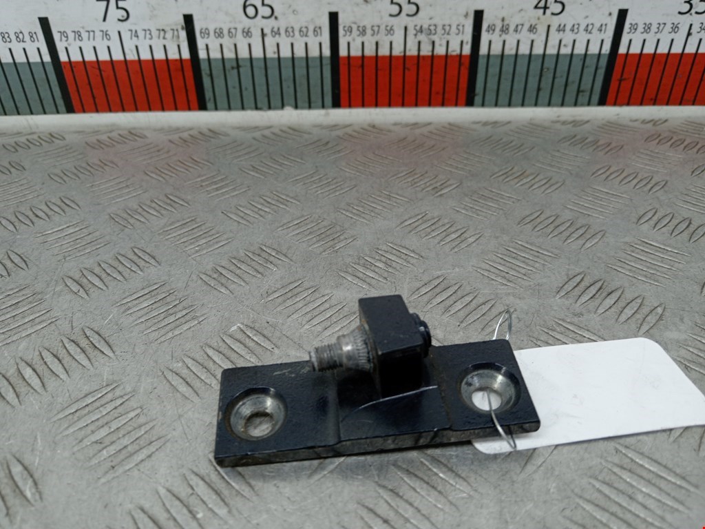 Петля двери задней правой BMW X5 (E70) (2006-2013)