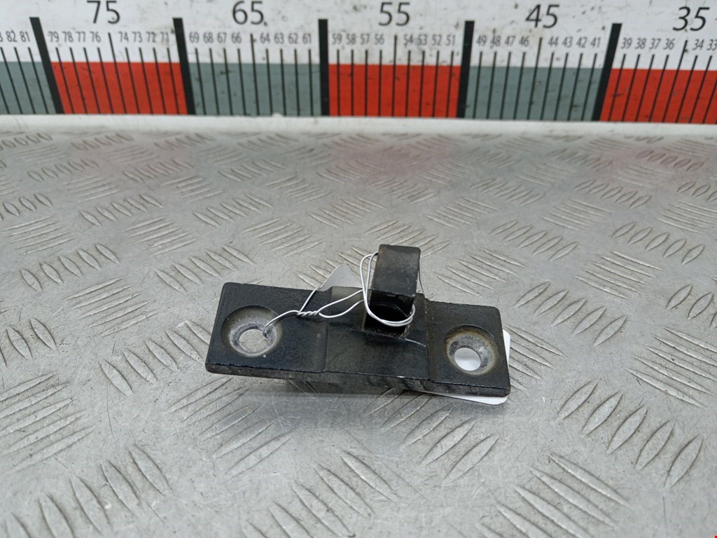 Петля двери передней правой BMW X5 (E70) (2006-2013)