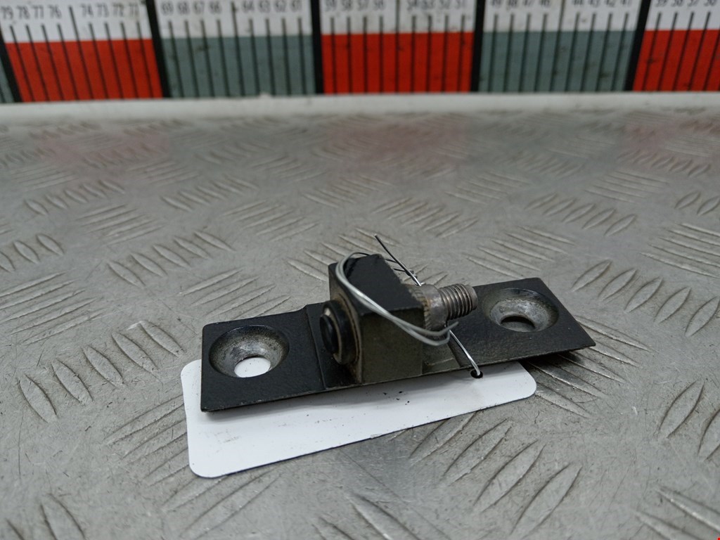 Петля двери передней правой BMW X5 (E70) (2006-2013)